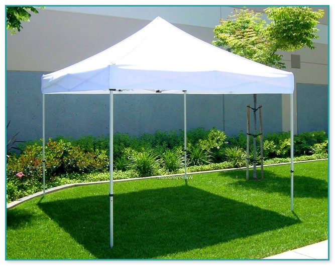 Cheap Easy Up Canopy