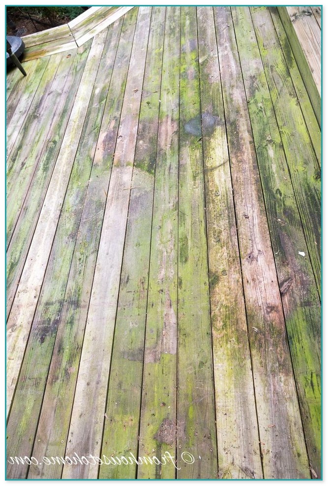 Cleaning Algae Off Deck