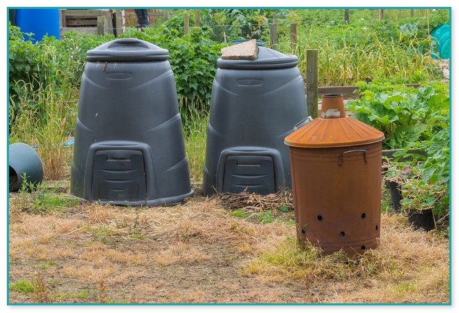 Best Composter To Buy
