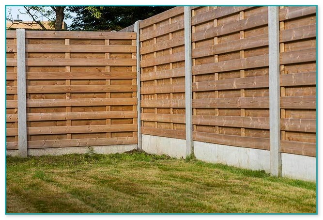 Best Fence For Dogs