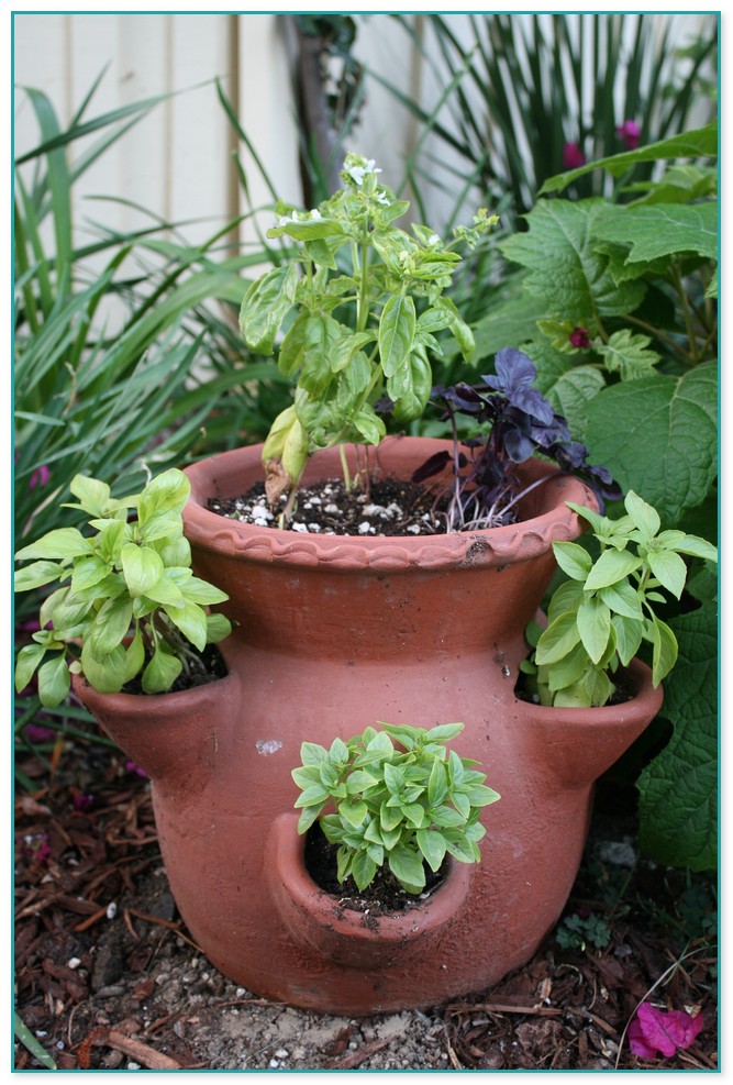 Best Ideas For Herb Garden Containers