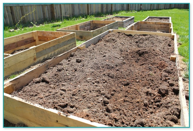 Best Raised Garden Beds Soil Mixture