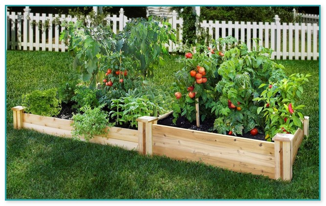 Best Soil For Raised Vegetable Garden Beds