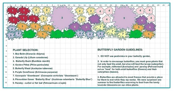 Butterfly And Hummingbird Garden Plans
