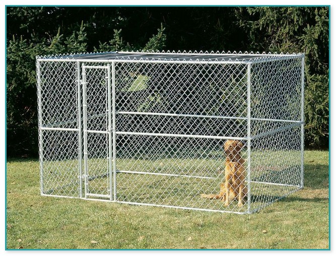 Chain Link Dog Fence