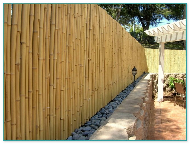 Cheap Bamboo Fencing Rolls