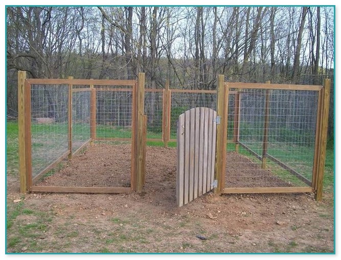 Cheap Fence Ideas For Dogs