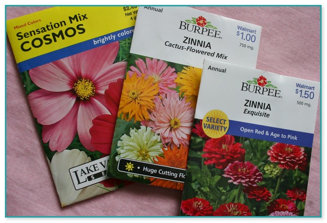Cheap Flower Seed Packets