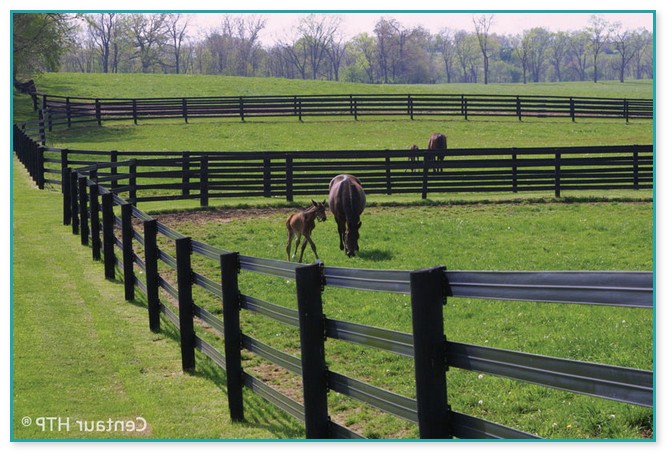 Cheap Horse Fencing Options