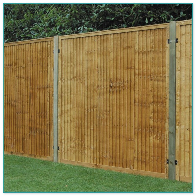 Cheap Privacy Fence Options