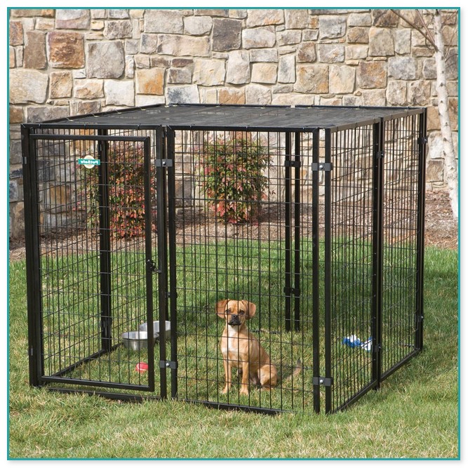 Dog Fence For Sale