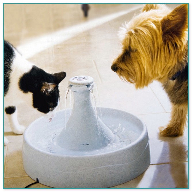 Drinkwell 360 Pet Fountain Replacement Parts