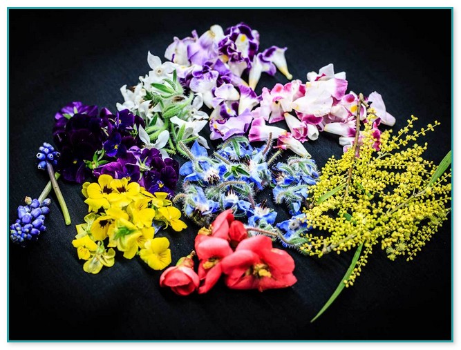 Edible Flowers For Sale