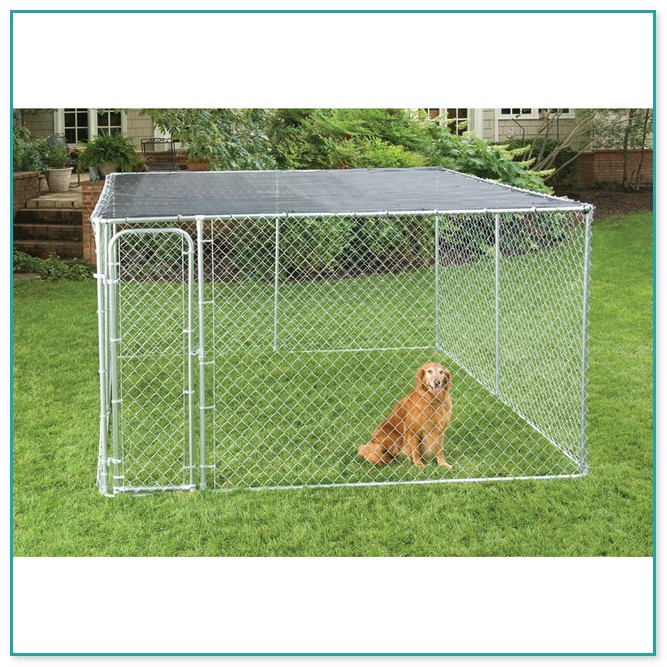 Electronic Fence For Dogs 1
