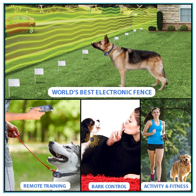 Electronic Perimeter Fence For Dogs