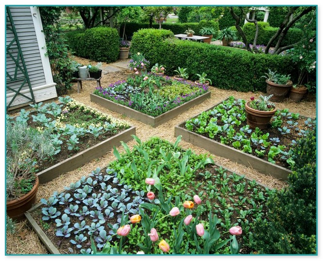 Garden Designs With Raised Beds