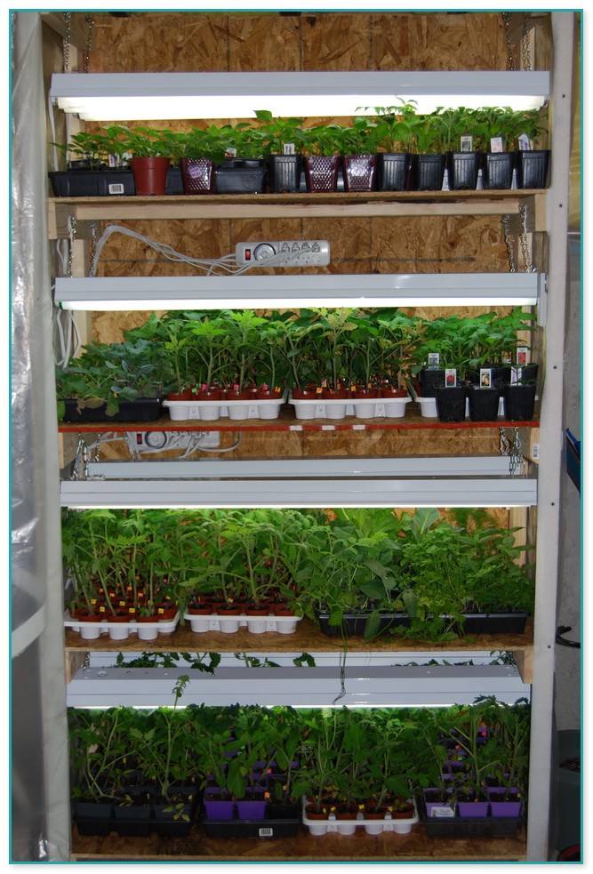 Garden Rack For Plants