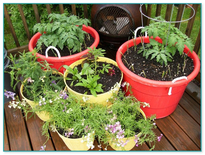 Gardening In Pots And Containers