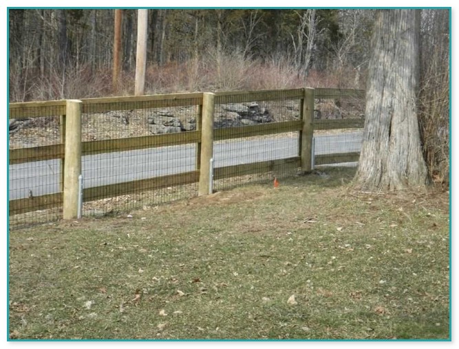 Good Fencing For Dogs