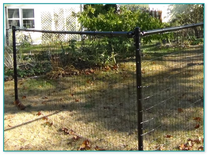 In Ground Pet Fence