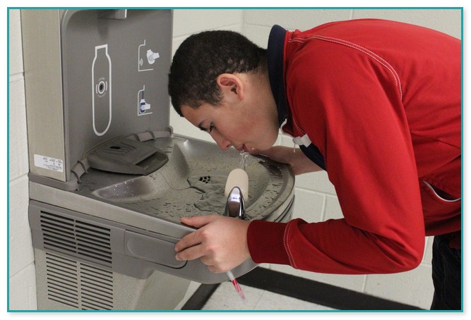 Indoor Drinking Water Fountains