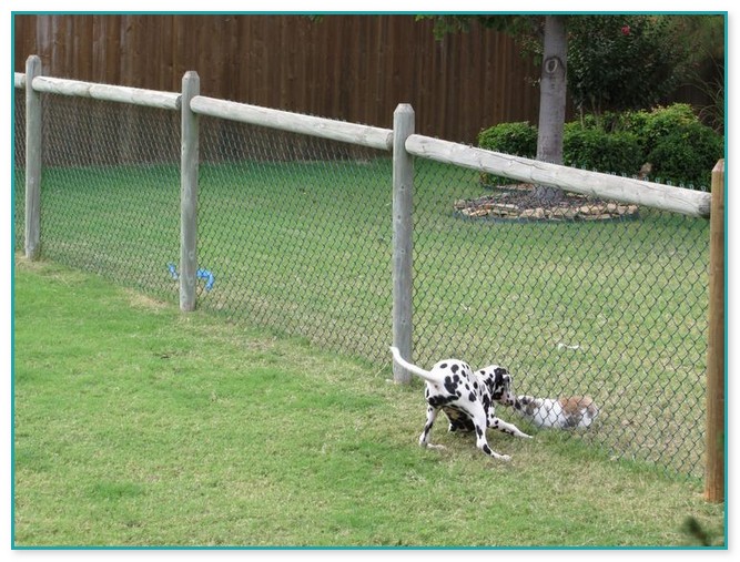 Inexpensive Fencing For Dogs