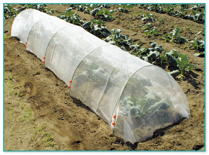 Insect Netting For Gardens