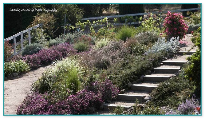 Landscape Plants For California Gardens