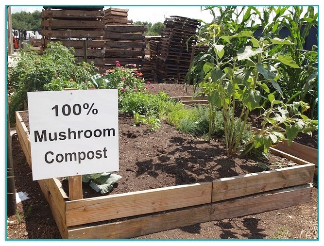 Mushroom Compost For Garden