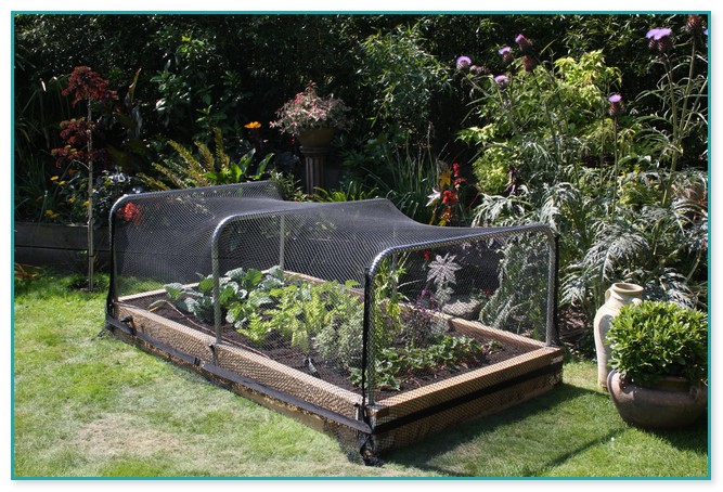 Netting For Vegetable Gardens
