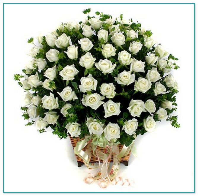 Order Plants And Flowers Online