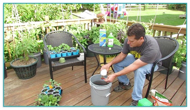 Organic Fertilizer For Vegetable Gardens