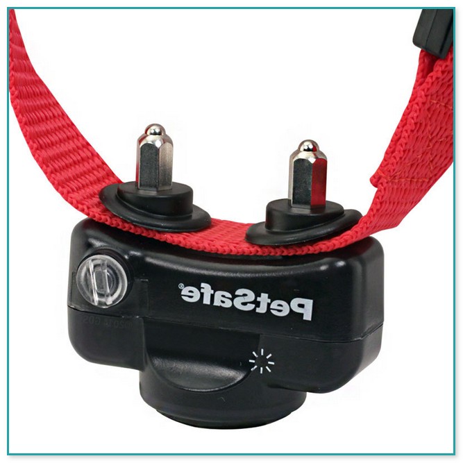 Petsafe In Ground Fence Collar