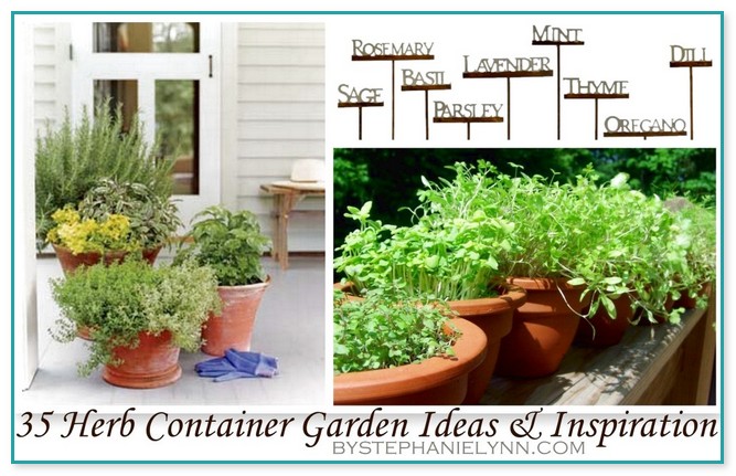 Planting An Herb Garden Outside