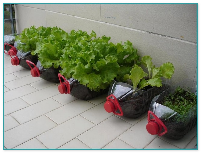 Plastic Containers For Gardening