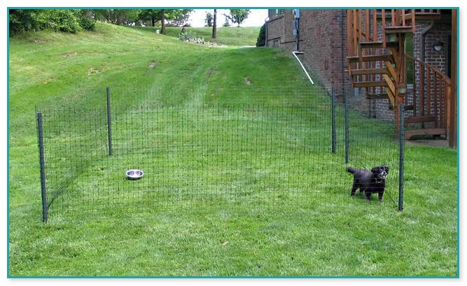 Portable Fence For Dogs