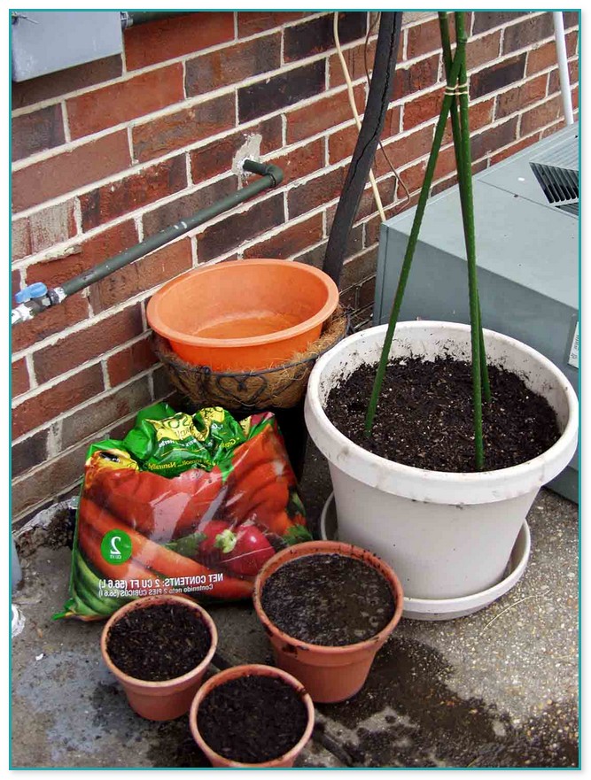 Potting Mix For Vegetable Container Gardening