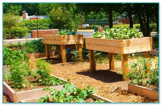 Raised Bed Designs For Gardening