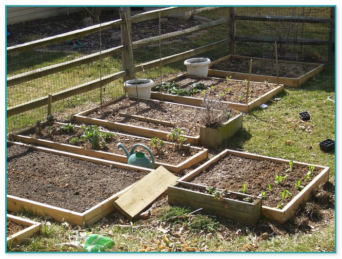 Soil For Raised Vegetable Garden Beds