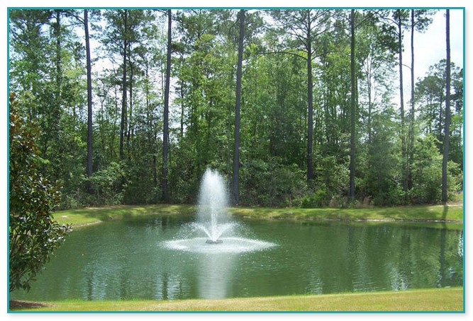 Solar Powered Pond Fountains