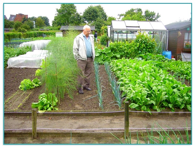 The Best Organic Fertilizer For Vegetable Gardening