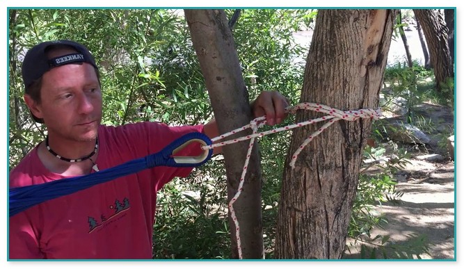 Tying A Hammock To A Tree