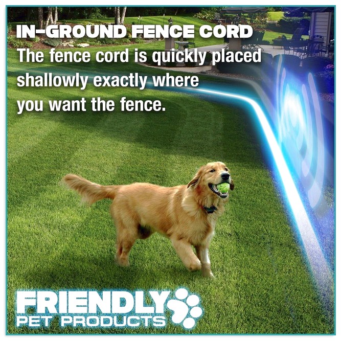 Underground Fences For Dogs 1
