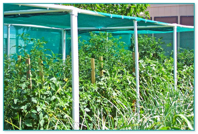Vegetable Garden Shade Structures