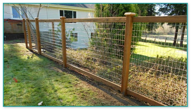 Wire And Wood Fence