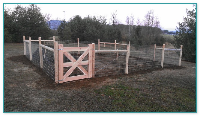 Wire Fence For Dogs