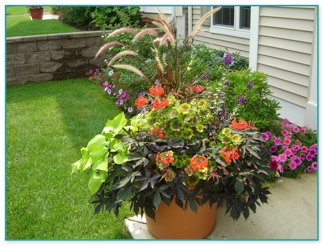 Container Flower Gardening Ideas 2