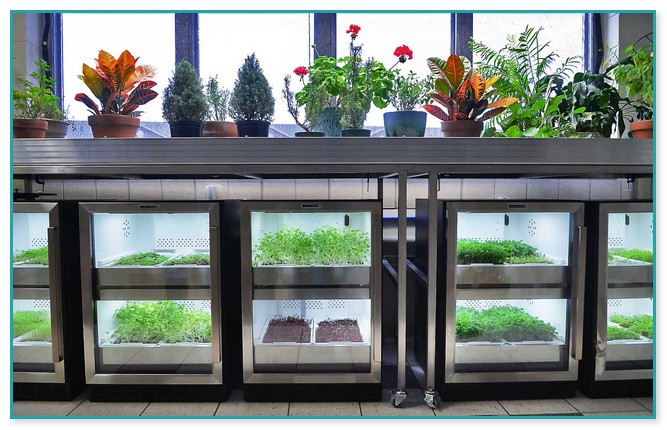 Urban Cultivator For Sale 2