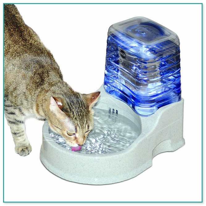 Amazon Cat Water Fountain 2