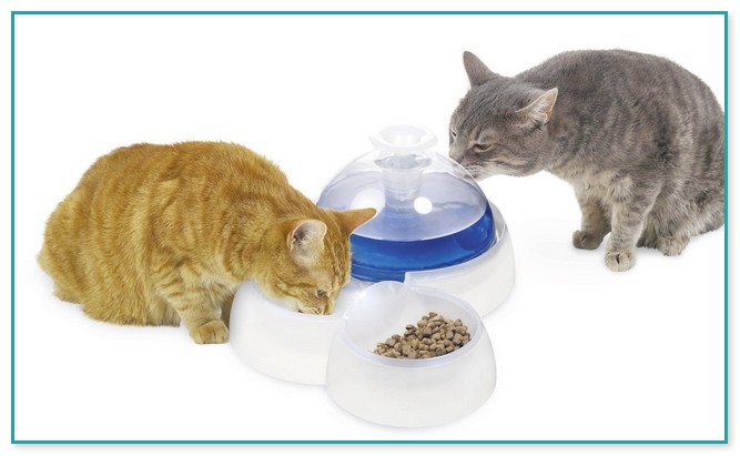 Amazon Cat Water Fountain Stainless Steel 2